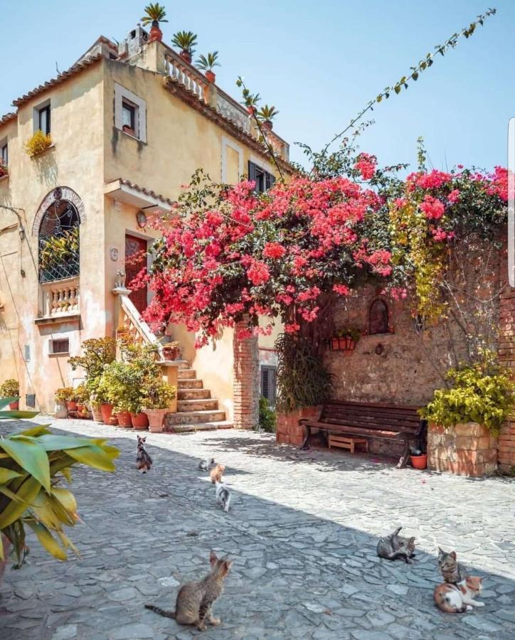 Al Castello Apartment Фиумефредо Бруцио Екстериор снимка